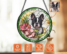 Ritratto di animali domestici