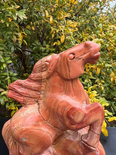 Cavallo diaspro rosso peso - in,