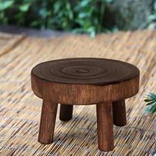  Stabile Stabile Stand Plant