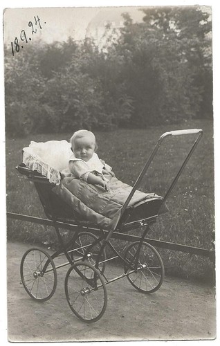 103 625 cartolina - 103/625, foto