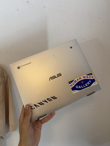 Asus chromebook flip - asus,