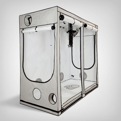 Homebox ambient r240 growbox - homebox, r240+