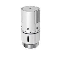 Testa Termostatica Ivar T1500