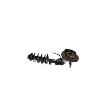 MASSA COMPLETA ANTERIORE