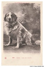 CD-BFP1-0923-CANE - Viscos -