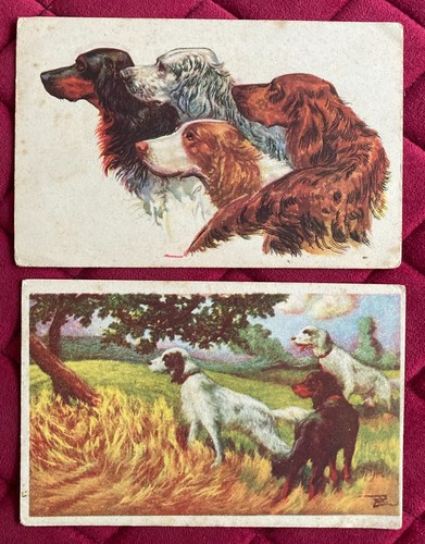 Vecchie cartoline cani - cartoline, da