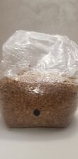 1.5kg  Grain spawn, Substrato