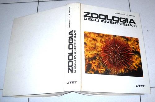 Marcello greca zoologia - marcello,