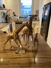 Safari Ltd Schleich serie straniera Vanishing Wild giraffe famiglia 1:15 fino a 33 cm