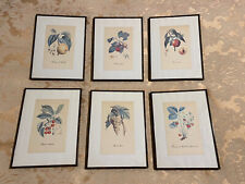 Set 6 Stampe  Vintage d’arte