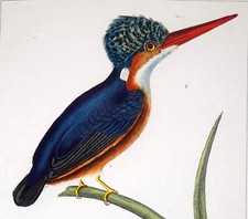 1831,PRETRE ORIGINALE ENGR. BELLISSIMO ACQUERELLO ANTICO XJ3