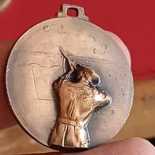 Vecchia Medaglia Brescia Tiro Al Piattello In Bronzo Spl Lotto Sc10