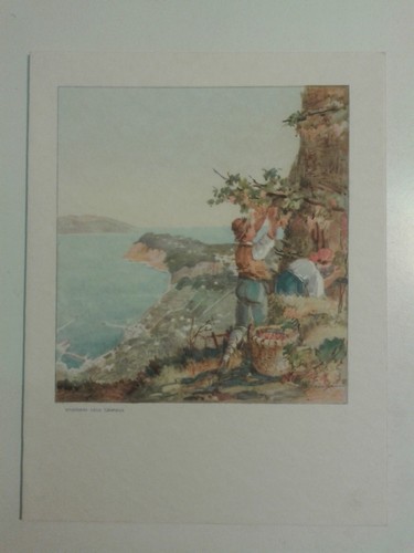 Porta menu vendemmia - porta, campania