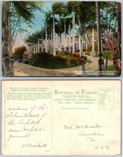 Cartolina Royal Palm Avenue