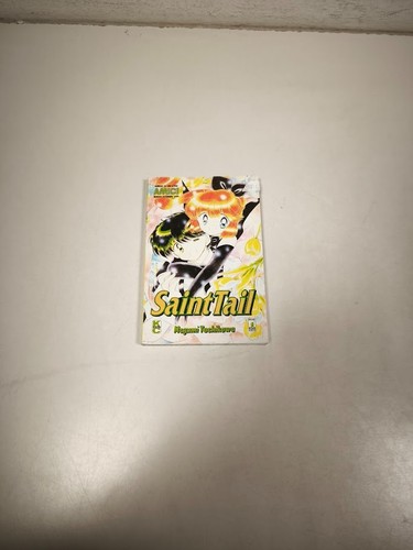 Saint tail megumi tachikawa - tail,