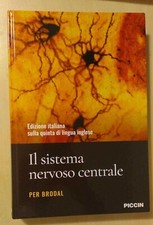 Il sistema nervoso