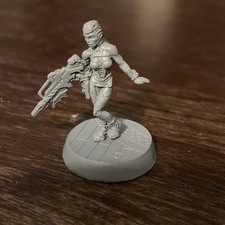 Corvus Belli Infinity nomade