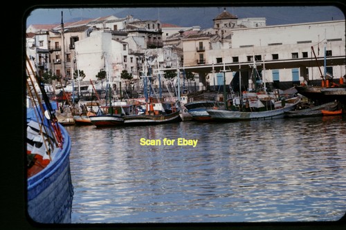 Barche pesca palermo - da,