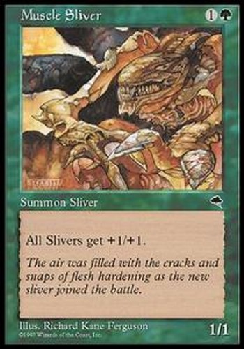 Mrm english muscle sliver - muscle,