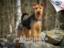 Welsh Terrier Calendar 2026