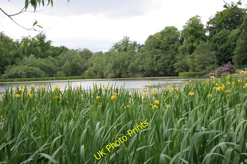 Photo 6x4 kilmardinny - photo, loch
