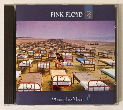 Pink floyd a - -, momentary