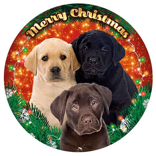 Plenty gifts led luci - plenty-gifts,