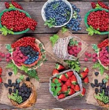 Tela Cerata Tovaglia Frutta