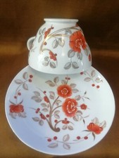 Tazza da the Villeroy&Boch, decoro a mano, primi 900