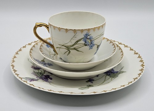Haviland hand painted - hand,
