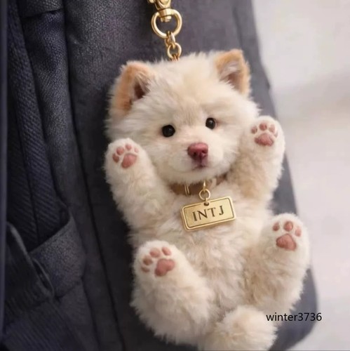 Carino chow - chow, peluche