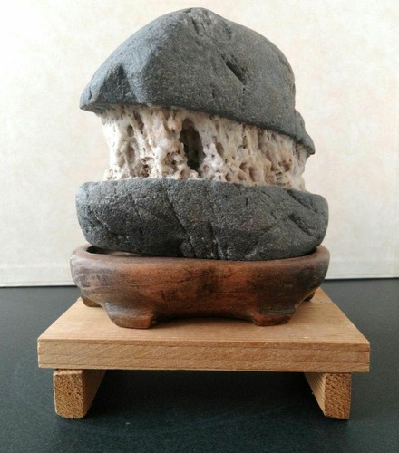 Suiseki bonseki bonsai - suiseki,