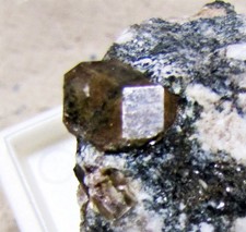 Minerali perfetto raro e grande cristallo di MONAZITE,  Nibbio  Cuzzago VB