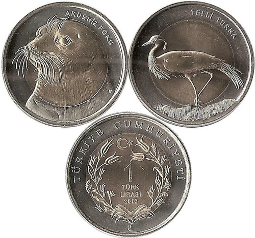 Turchia lira 2013 gru - x, 1