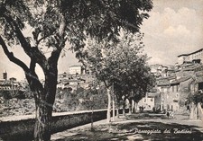 ed365 cartolina