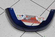 CODINO CARENA POSTERIORE