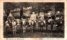 Vicenza recoaro una passeggiata al Monte Spitz , asini Muli F. piccolo spedita