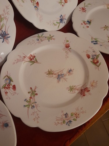 Serie piatti piani - di, 5