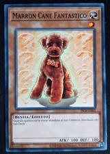 MARRON CANE FANTASTICO Comune in Italiano (2023) DCR-IT062 YUGIOH 25Th