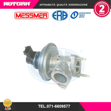 555243 Exhaust Gas