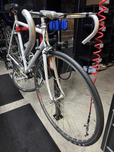 Late 80s bianchi - late,
