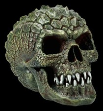 Teschio - rettile Gatorhead -