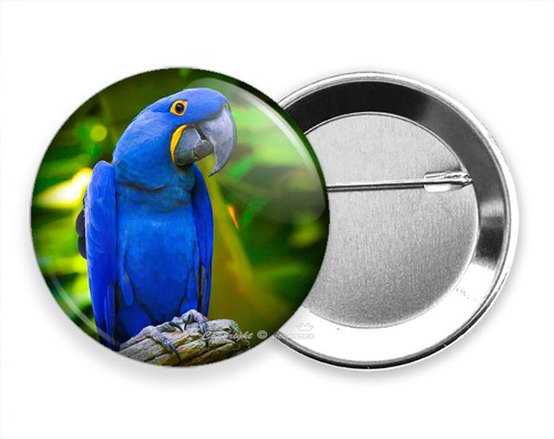 Pappagallo ara blu tropicale - ara,