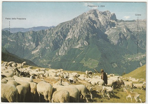 Presolana valle di scalve - valle,