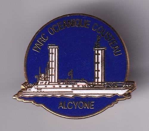 Rare pins pin - rare, pin's