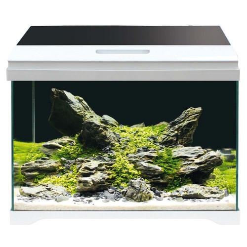 Acquario extra chiaro amtra - extra,