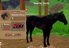 Wild Horse Islands - marrone
