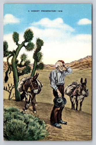 Desert gold prospector with - desert,