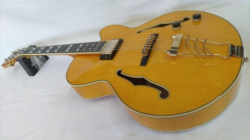 Chitarra elettrica acustica