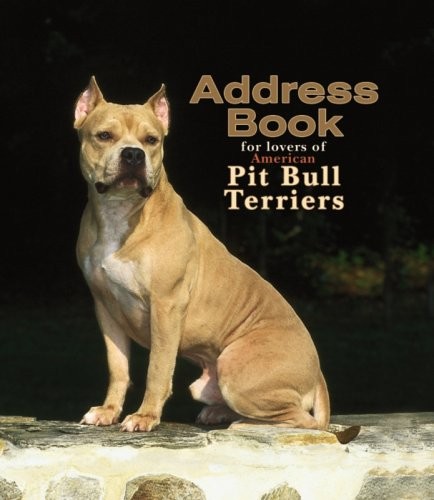American pit bull terriers - bull,